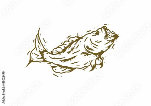 Big bass fish illustration drawing