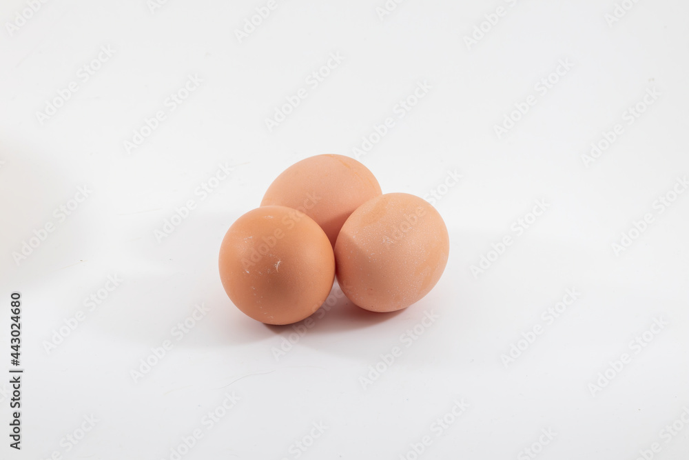 chicken egg isolated on white background chicken egg isolated on white background