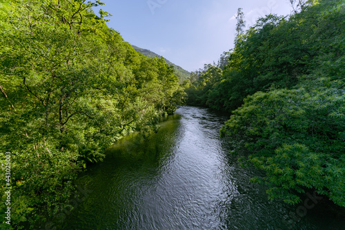 Landscape, river in forest. Atlantic forest well preserved. Fragas do Eume, Galicia, Spain.