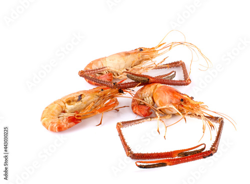 Seafood a Boiled river Prawns its big Shrimps.