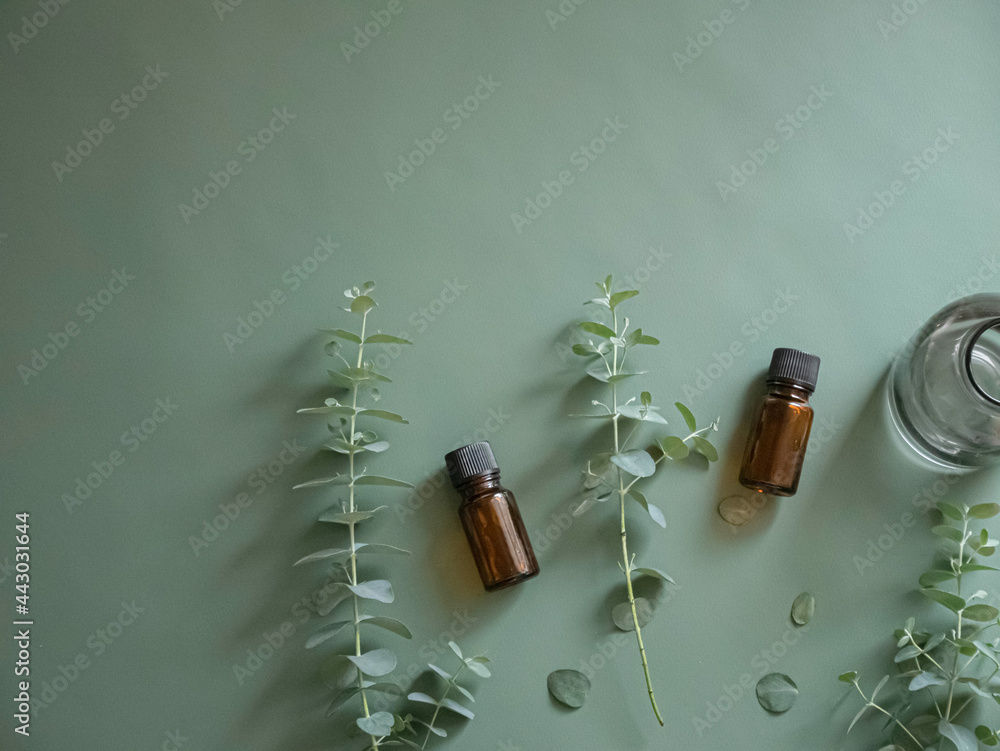ユーカリの葉とアロマオイル瓶 グリーン 観葉植物 リラックス 趣味 Stock Photo Adobe Stock