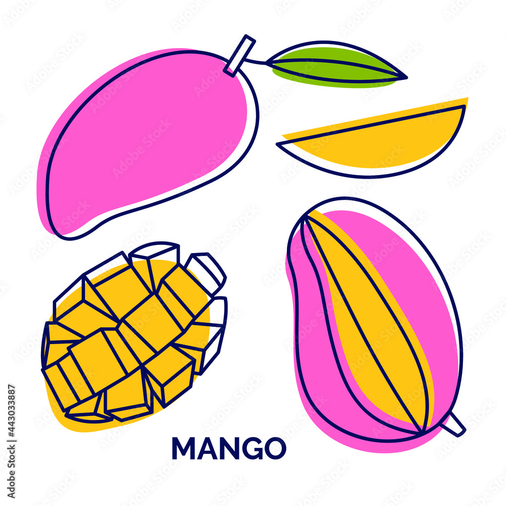 Mango fruit set. Vector hand drawn illustration of exotic fruits. Delicious tropical vegetarian objects. Collection with color abstract spot background. Use for restaurant, menu, market, store, decora