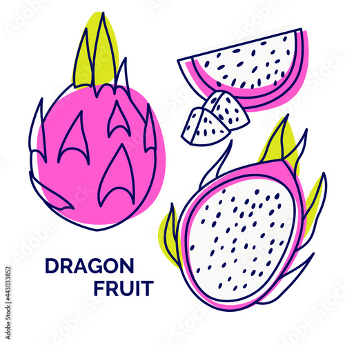 Dragon fruit set. Vector hand drawn illustration of exotic fruits. Isolated pitaya. Delicious tropical vegetarian objects. Collection with color abstract spot background. Use for restaurant, menu, smo
