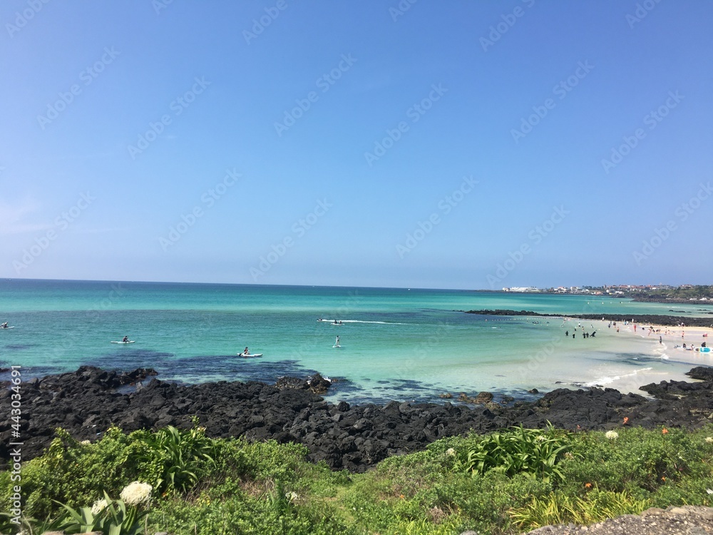 beach in the summer