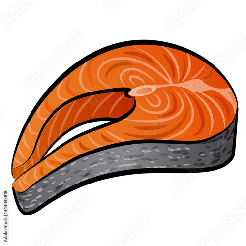 raw salmon steak