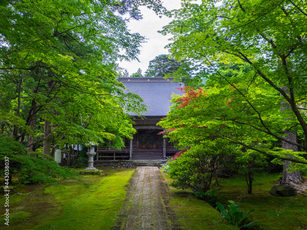 Old unmanned temple surrounded by maple trees with red and green leaves (Hokoin, Yahiko, Niigata, Japan)