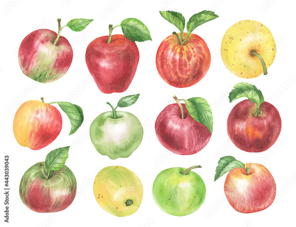Apple Apple