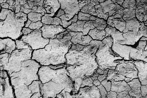 Background in black and white cracked dry earth with dry grass, drought