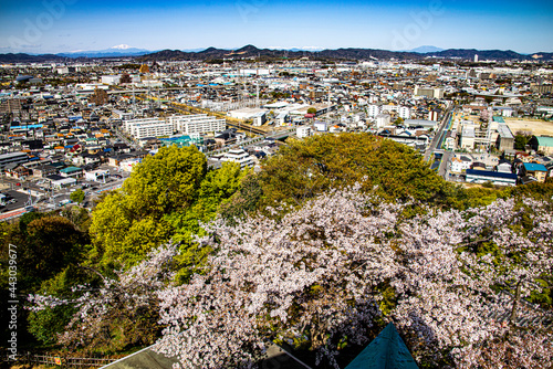 小牧山城天守より北東方面を見る photo