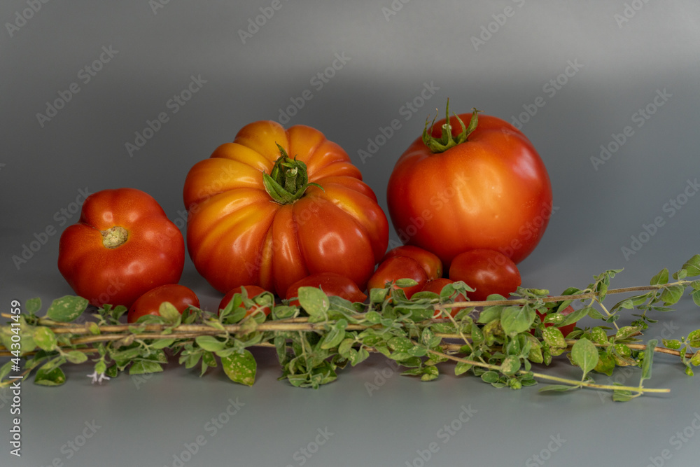 pomodori ed origano