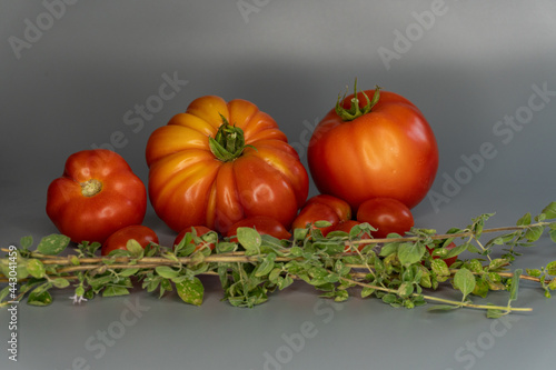 Obraz na płótnie pomodori ed origano w salonie