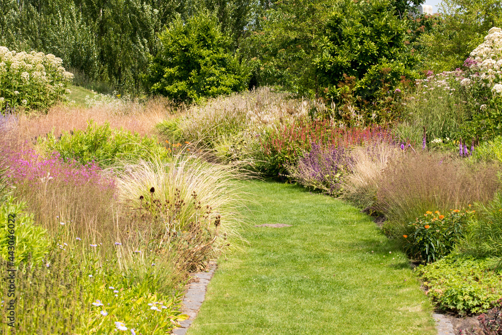 Φωτογραφία The public park with a Dutch wave garden in Utrecht, made by Piet Oudolf