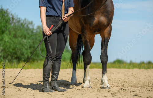 Horse rider and her trotter are standing on a sandy training arena in outdoors. © Ирина Орлова