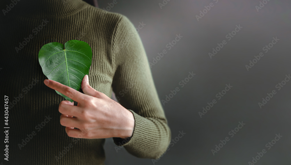 Green Energy, Renewable and Sustainable Resources. Environmental and Ecology Care Concept. Close up of Hand Holding a Heart Shape Green Leaf on Chest - obrazy, fototapety, plakaty 