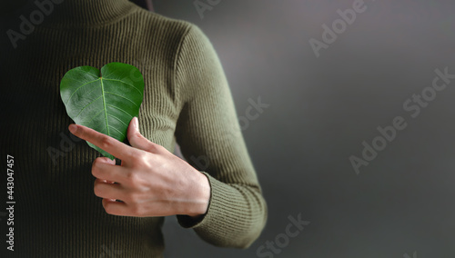 Green Energy, Renewable and Sustainable Resources. Environmental and Ecology Care Concept. Close up of Hand Holding a Heart Shape Green Leaf on Chest photo