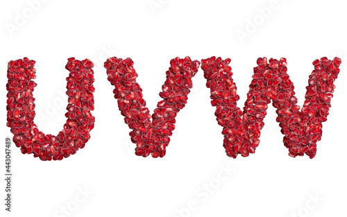 3d alphabet, uppercase letters UVW made of pomegranate grains, 3d illustration photo