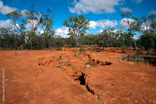 Cobar Australia, outback scene with red soil and erosion from flash flooding photo