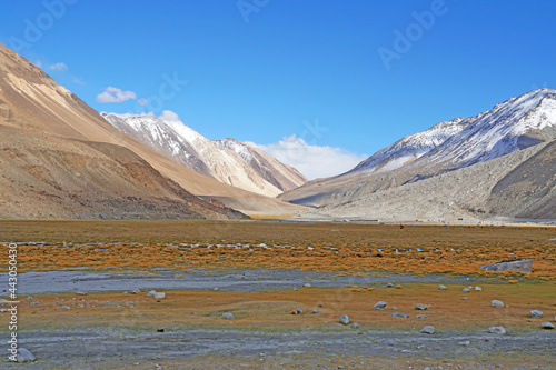 Nature scene - Landscape of yellow grass meadow and waterway with snow mountain himalaya background in autumn season at Leh Ladakh , Jammu and Kashmir , India - travel ans sighseeing unseen