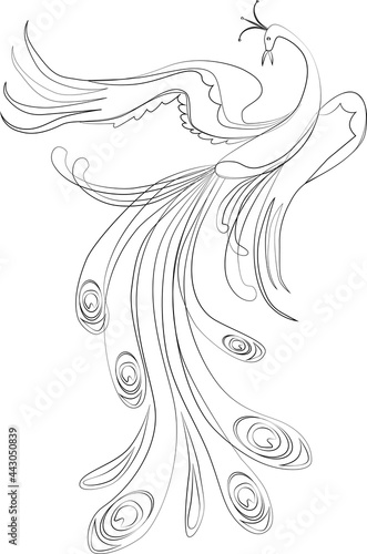 Vector contour drawing of fantasy flying bird