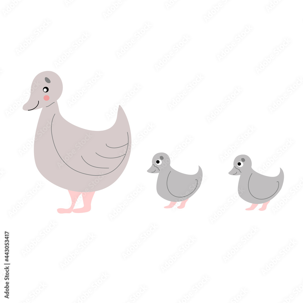 Gray duck mom with babies on a white background.