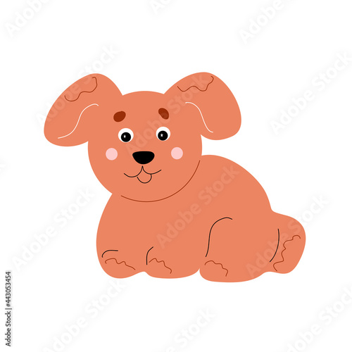 Small puppy on a white background.