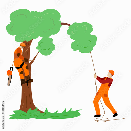 Two arborist lumberjacks are sawing a tree.