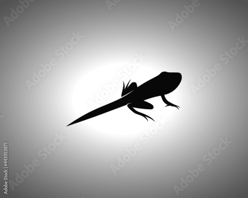 Tadpole Silhouette. Isolated Vector Animal Template for Logo Company, Icon, Symbol etc photo