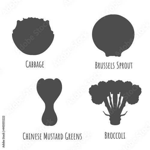 Icons with Cabbage Vegetables isolated on white