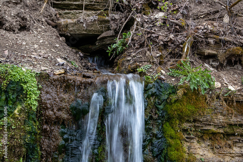 Millennial cold forest creek, little waterfalls over the rocks with slippery moss