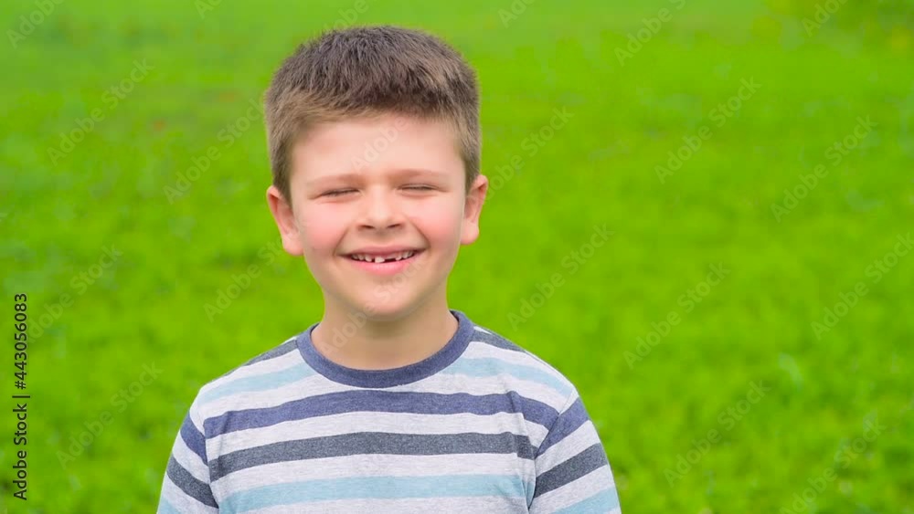 A beautiful boy of European appearance stands in a green field and laughs. The child demonstrates emotions of joy on his face. Slow-motion video, full hd. Place for text, Copyspace A beautiful boy of European appearance stands in a green field and laughs. The child demonstrates emotions of joy on his face. Slow-motion video, full hd. Place for text, Copyspace