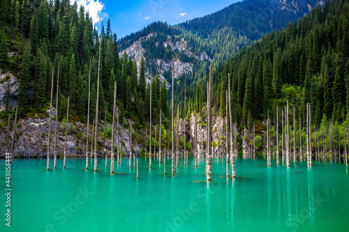 Fototapeta Naklejka Na Ścianę i Meble -  Lake Kaindy sunken forest in Kazakhstan. Beautiful mountain nature landscape. Blue lake Kolsai top view. Panoramic view of the nature reserve.