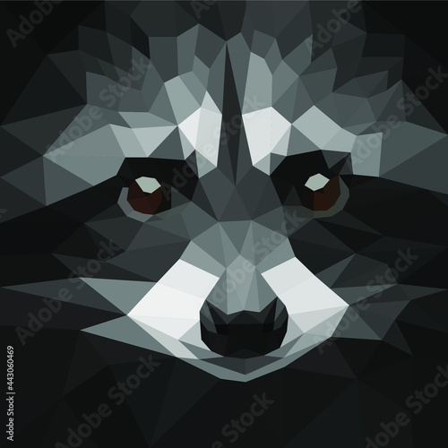 polygonal raccoon face