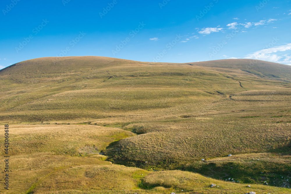 Green field landscape at the Lagonaki plateau