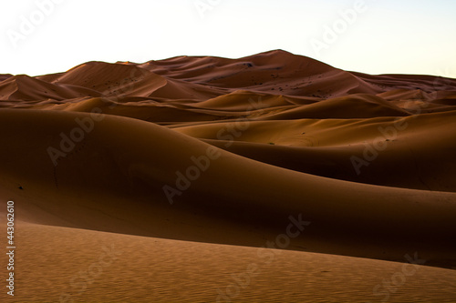 desert dunes  a journey to the Sahara