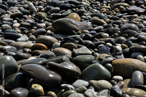 Sea pebbles close-up. Background image.
