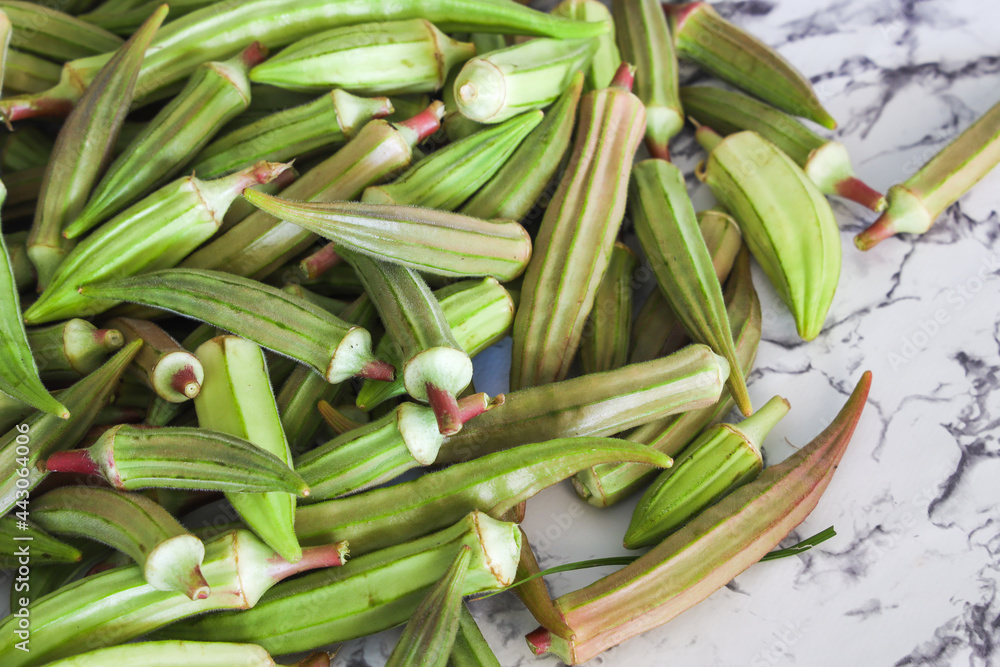 Selective focus of Okra or Okro, Abelmoschus esculentus, ladies' fingers plant. It is valued for its edible green seed pods. Raw Food, Copy Space. Selective focus of Okra or Okro, Abelmoschus esculentus, ladies' fingers plant. It is valued for its edible green seed pods. Raw Food, Copy Space.