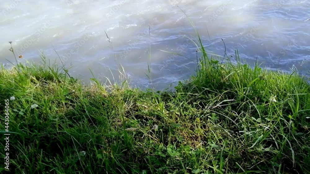 River flow on a background of green grass. Meditation video. Summer. Karatal river, Kazakhstan. River flow on a background of green grass. Meditation video. Summer. Karatal river, Kazakhstan.