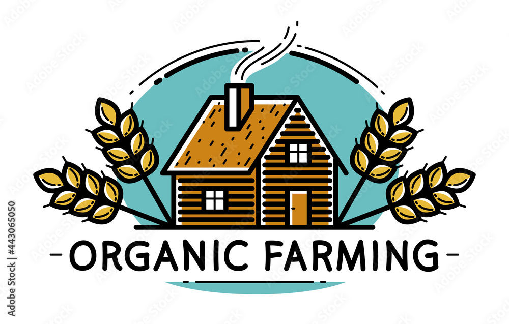 Farm house with spikes farming vector emblem or logo isolated on white background, woodhouse and wheat farm agriculture illustration, linear and colored version. Farm house with spikes farming vector emblem or logo isolated on white background, woodhouse and wheat farm agriculture illustration, linear and colored version.