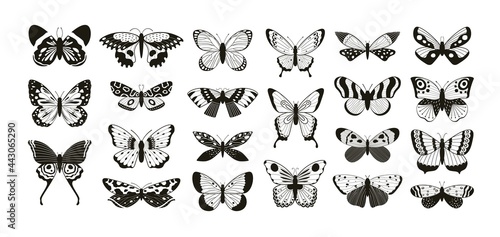 Butterflies silhouettes. Moth and butterfly wings pattern laser cut outline. Flying insect decorative element. Butterflies tattoo vector set