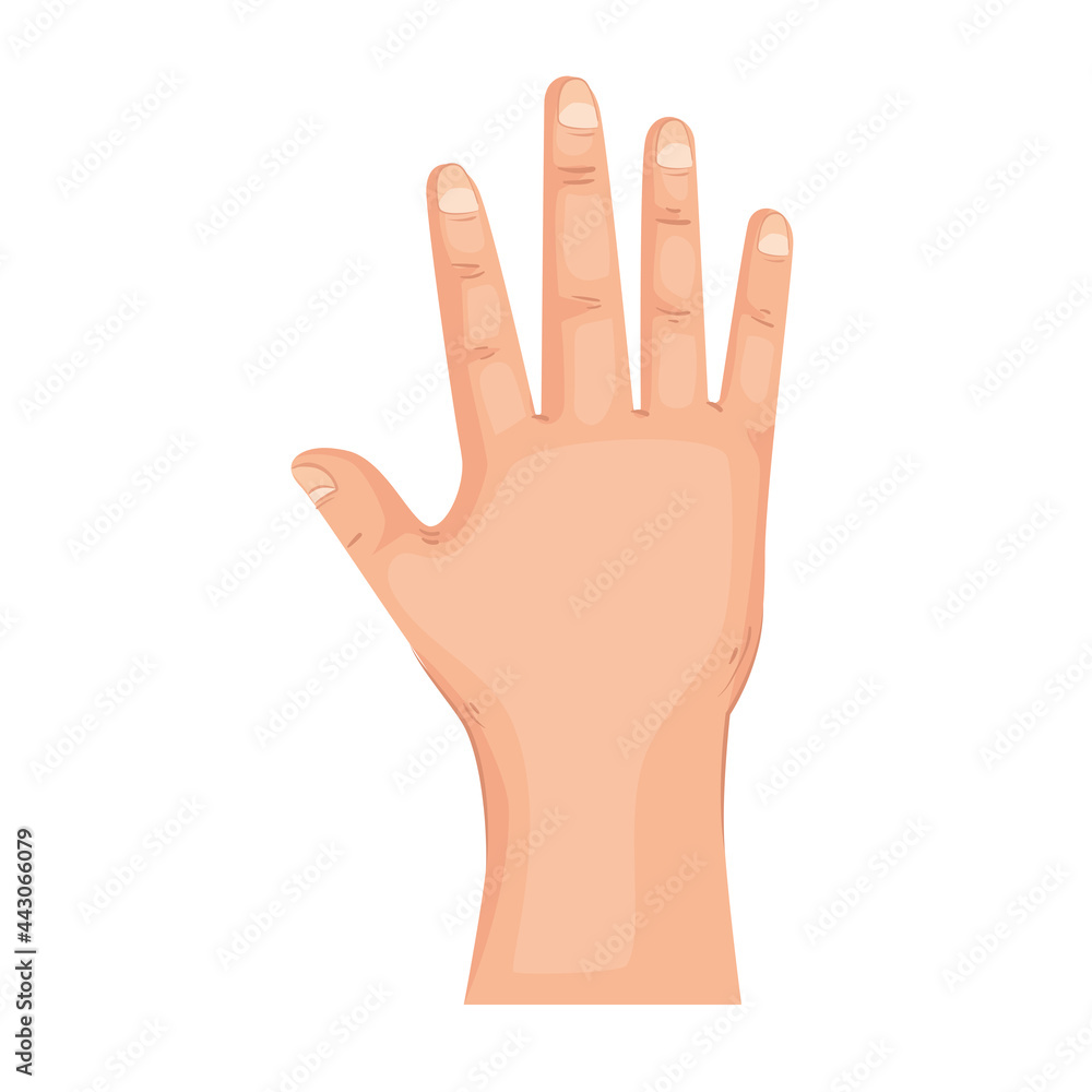Human hand of front side Human hand of front side