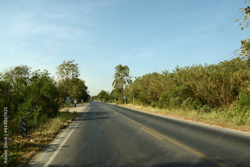 Obraz premium Bergkette und Blumenwiese in der Provinz Saraburi, Thailand