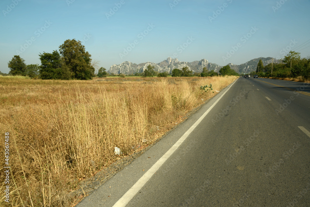 Naklejka premium Bergkette und Blumenwiese in der Provinz Saraburi, Thailand