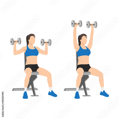 Woman doing Dumbbell overhead shoulder press exercise. Flat vector illustration isolated on white background