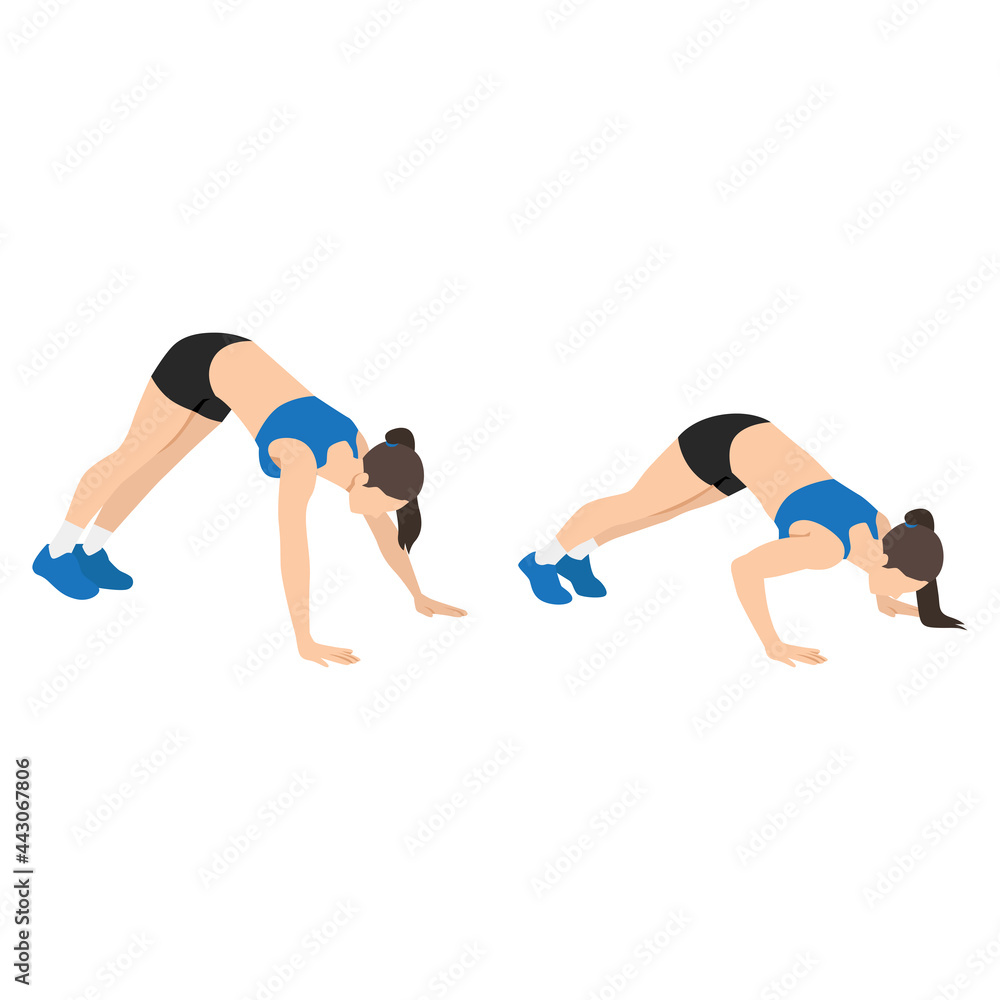 Woman doing Bodyweight shoulder presses exercise. Flat vector illustration isolated on white background Woman doing Bodyweight shoulder presses exercise. Flat vector illustration isolated on white background