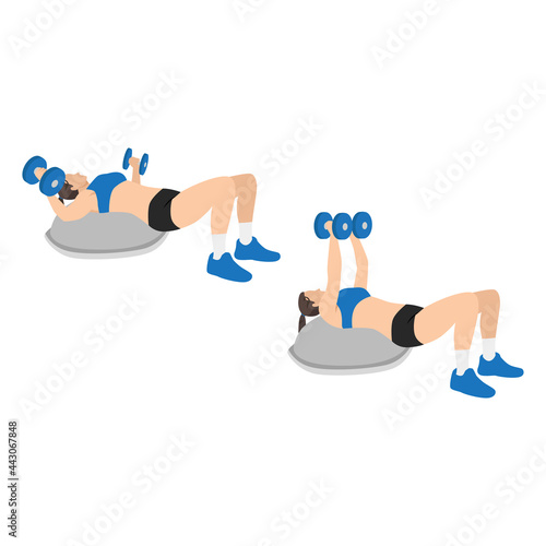 Woman doing Bosu ball chest dumbbell flies exercise. Flat vector illustration isolated on white background