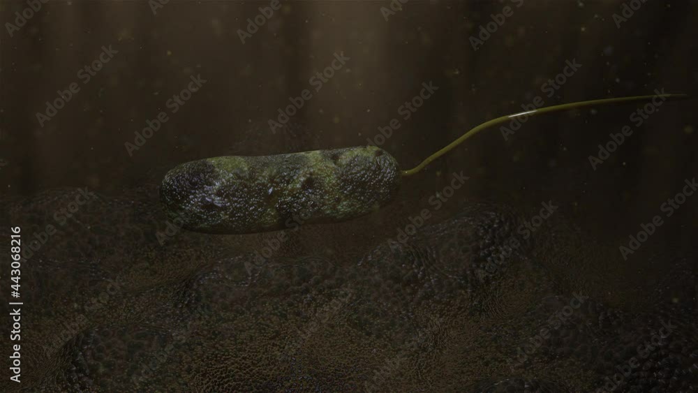 3d animation of moving bacterium. 3d animation of moving bacterium.