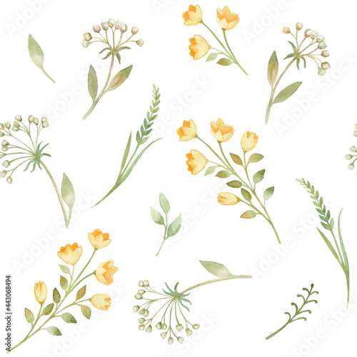 Botanic blossom floral elements. Branches, Yellow flowers, herbs, wild plants. Seamless pattern. Garden, meadow, feild set leaf, foliage, branches. Bloom watercolor illustration © Yuliia