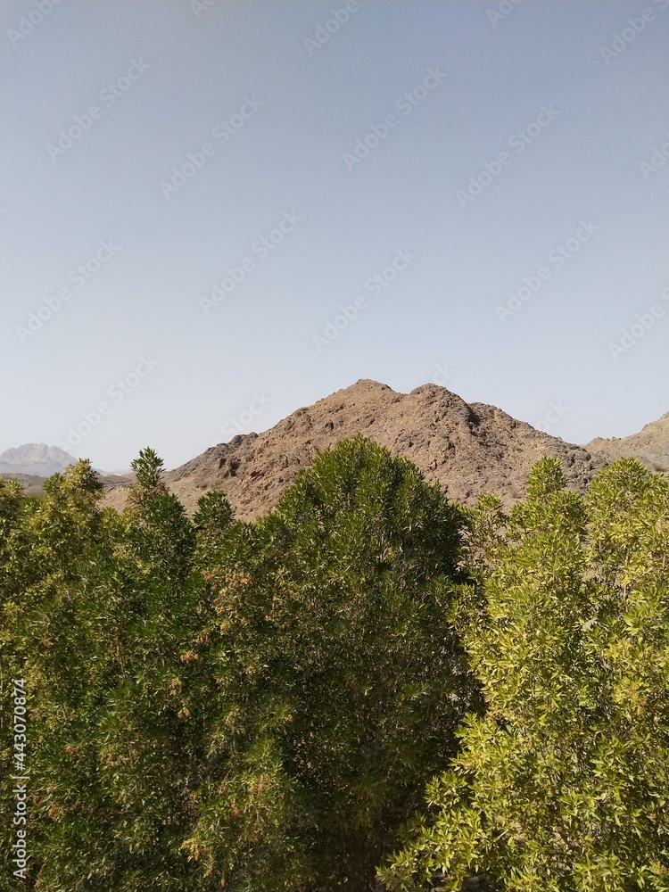 landscape in the mountains