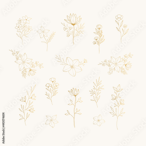 Set of golden flowers, bouquets, herbs and leaves. Vector isolated illustration.