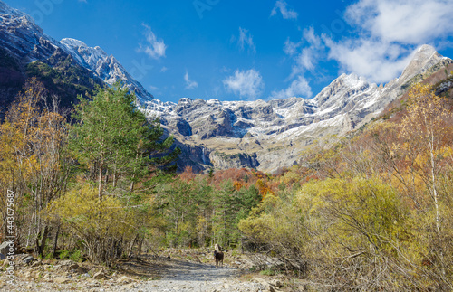 Pineta Valley in Ordesa and Monte Perdido National Park, Spain